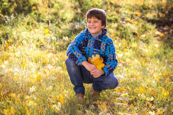 Niño sentado en el parque con hojas amarillas —  Fotos de Stock