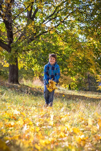 Leende pojke kastar hösten lämnar på park — Stockfoto