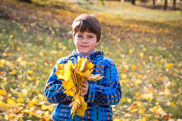 Ung pojke på park med gula blad — Stockfoto