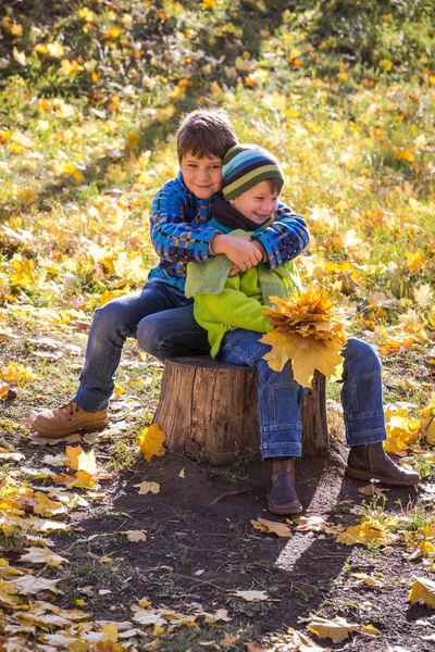 Two boys sitting at the autumn park — Stock Photo, Image