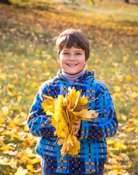 Niño en el parque con hojas amarillas —  Fotos de Stock