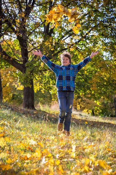 Smiling boy throwing autumn leaves on park — Stock Photo, Image