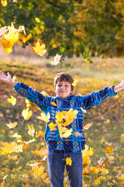 Smiling boy throwing autumn leaves on park — Stock Photo, Image