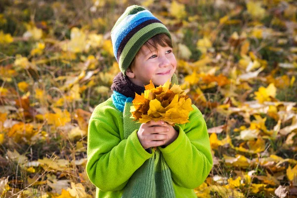 Ragazzino Sul Parco Autunnale Con Bouquet Foglie Gialle All Aperto — Foto Stock