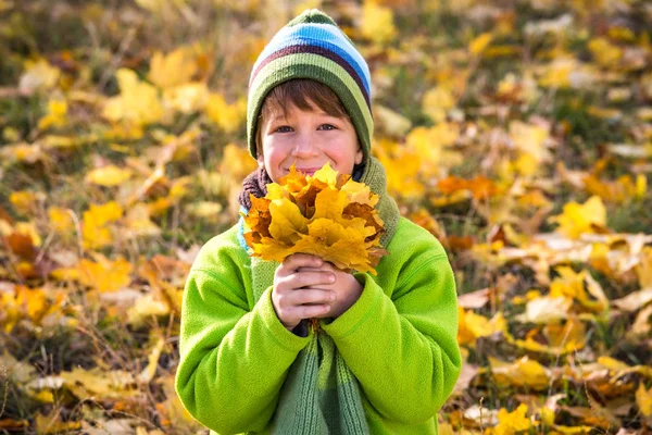Little boy on park with yellow leaves — Stock Photo, Image