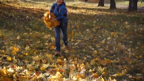 Lachende jongen gooien herfst laat op park — Stockvideo