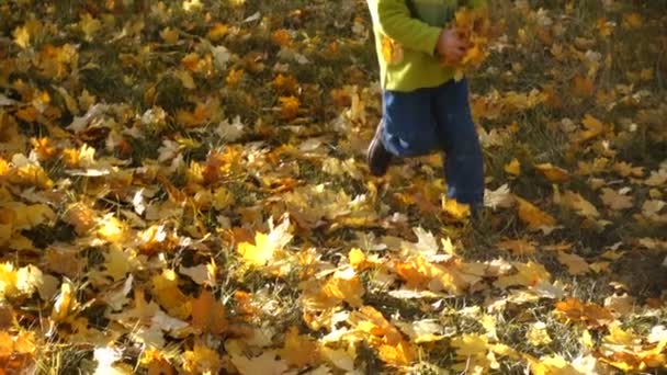 Liten pojke kastar hösten lämnar på park — Stockvideo