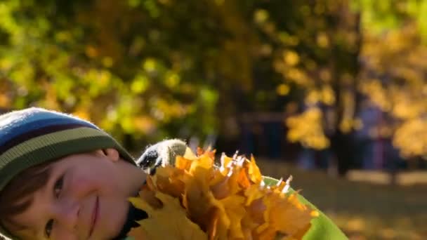 Kleiner Junge im Park mit gelben Blättern — Stockvideo