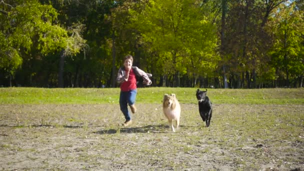 Jovem correndo com dois cães no parque — Vídeo de Stock