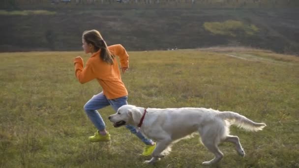 Chica corriendo con golden retriever en el campo — Vídeos de Stock