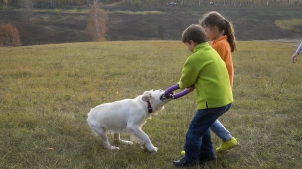 Duas crianças brincando com golden retriever no campo — Vídeo de Stock