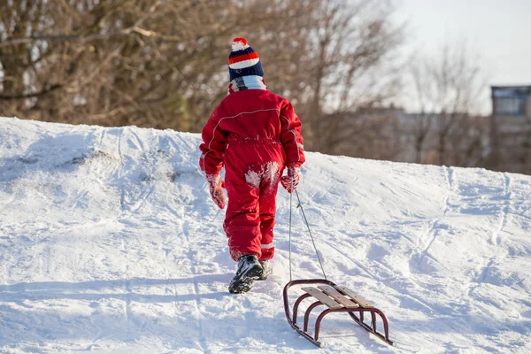 冬の公園で雪に覆われた丘で登山のそりの少年 — ストック写真