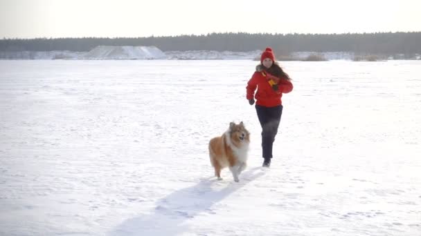 Дівчина грає з собаками на зимовому сніжному полі — стокове відео