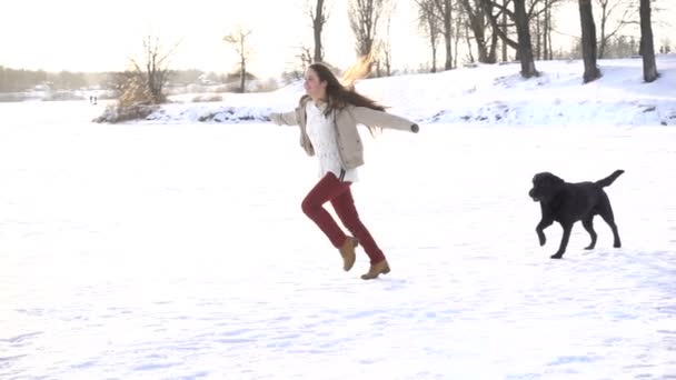 Девушка бегает с собаками по зимнему снежному полю — стоковое видео