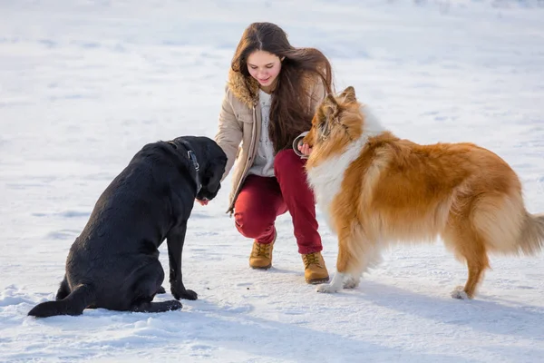 Chica jugando con dos perros en invierno campo de nieve — Foto de Stock