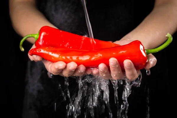 Lavar a pimenta vermelha em mãos de mulher — Fotografia de Stock