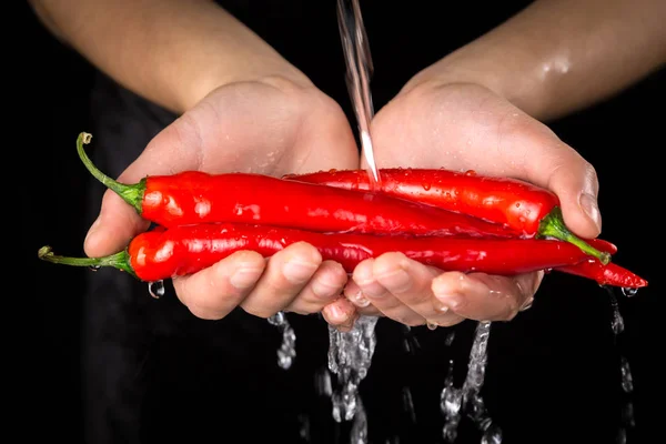 Lavar a pimenta vermelha em mãos de mulher — Fotografia de Stock