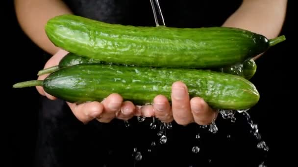 Πλύσιμο τα πράσινα αγγούρια στα χέρια γυναίκα, αργή κίνηση — Αρχείο Βίντεο