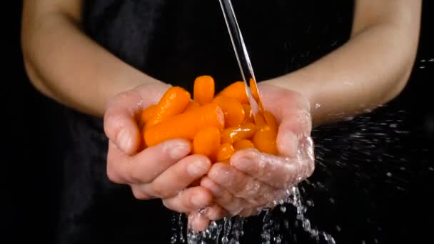Lavando las zanahorias naranjas en las manos de las mujeres, cámara lenta — Vídeos de Stock