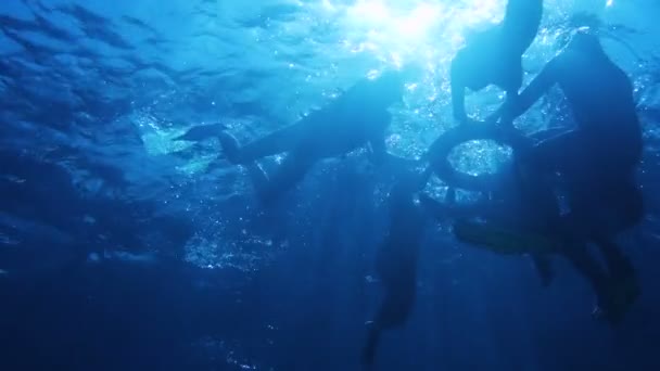 Подводный вид для людей, которые плавают с спасательным буем — стоковое видео