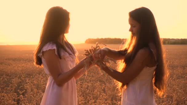 Zwei Mädchen basteln einen Ährenkranz auf einem Weizenfeld — Stockvideo