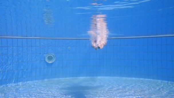 少年は、スイミング プールでダイビングします。 — ストック動画