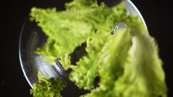 Φύλλα σαλάτας που πέφτουν σε γυάλινο μπολ, αργή κίνηση — Αρχείο Βίντεο