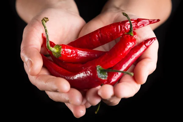 Pimenta vermelha em mãos de mulher — Fotografia de Stock