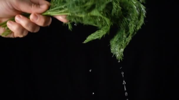 Padající kapky vody při setřepání listu Dill — Stock video