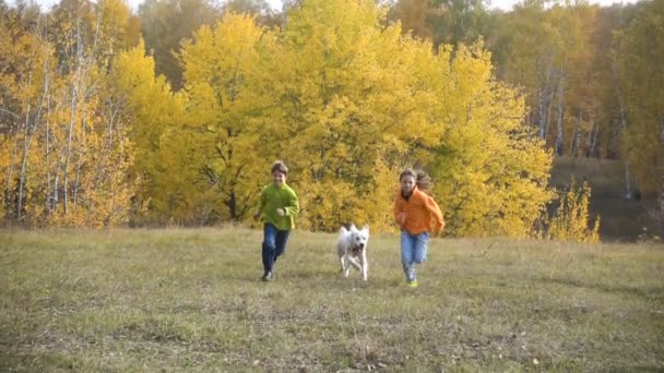 Двое детей бегут с золотистым ретривером на поле — стоковое видео