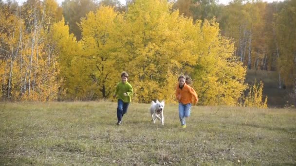 Zwei Kinder rennen mit Golden Retriever auf Feld — Stockvideo