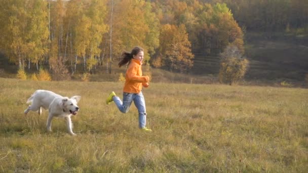 Chica corriendo con golden retriever en el campo — Vídeos de Stock