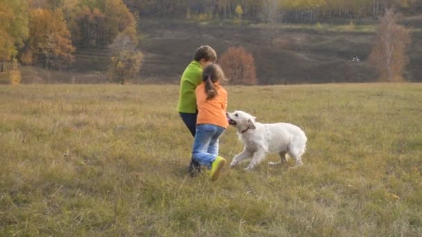 Двое детей играют с золотистым ретривером на поле — стоковое видео