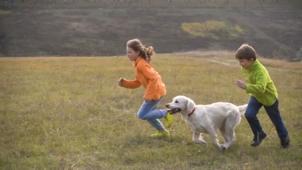 Duas crianças correndo com golden retriever no campo — Vídeo de Stock