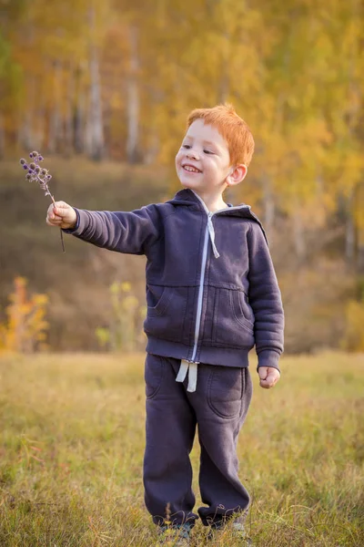 Adorabile bambino in piedi sul paesaggio autunnale — Foto Stock