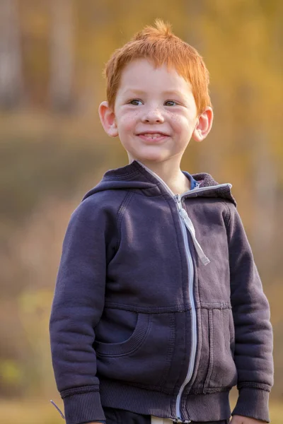 Schattige kleine jongen staande op herfst landschap — Stockfoto