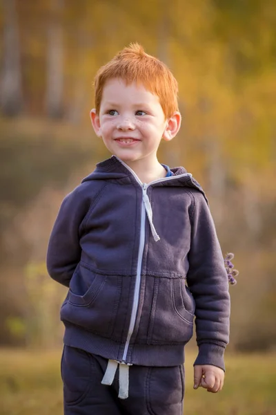 Adorable little boy standing on autumn landscape — Stock Photo, Image