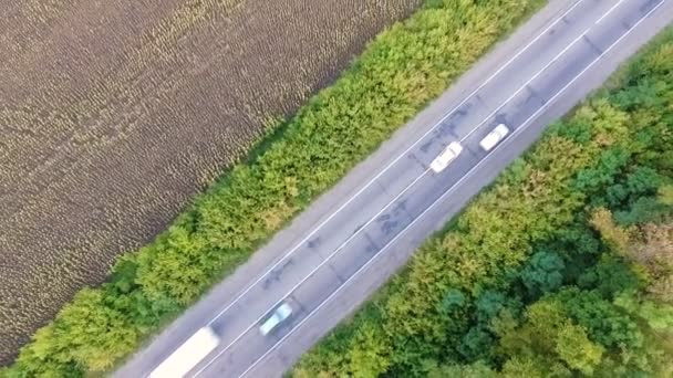 Vista aérea da estrada com carros e campos de girassol — Vídeo de Stock