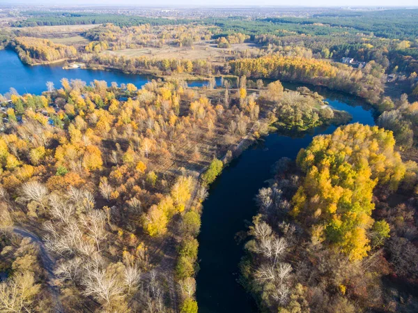 Flygfoto till höst skog och flod böja — Stockfoto