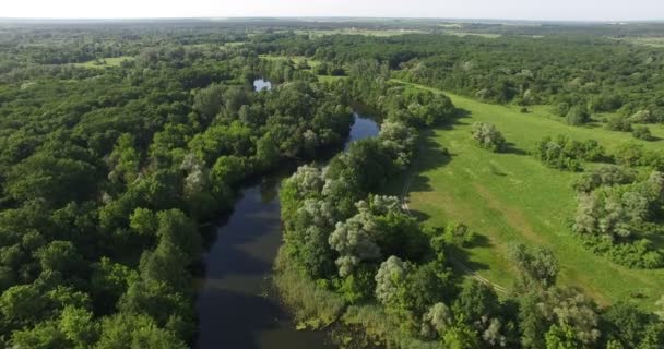 Seversky Donets 'in yaz ormanlarına ve nehir kıvrımlarına hava manzarası — Stok video