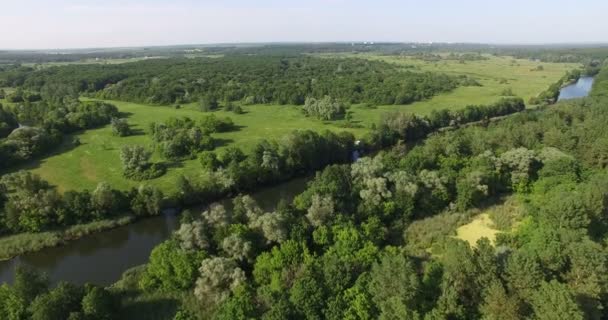 Vista aérea para a floresta de verão e curva do rio de Donets Seversky — Vídeo de Stock