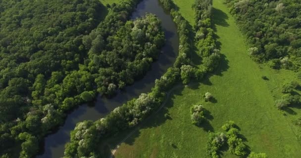 Widok z lotu ptaka na letni las i zakręt rzeki Seversky Donets — Wideo stockowe