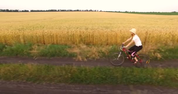 Вид с воздуха на девушку на велосипеде вдоль пшеничного поля — стоковое видео