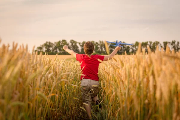 Jongen met speelgoedvliegtuig op tarweveld — Stockfoto