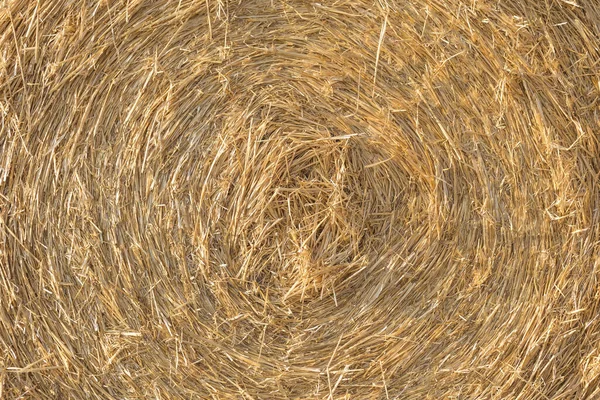 Yuvarlak buğday samanı ile doğal arkaplan — Stok fotoğraf