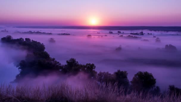 Timelapse van roze zonsopgang op mistige vallei — Stockvideo