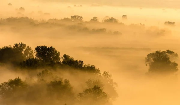Morgens Nebliges Tal Bei Sonnenaufgang Gelb Ruhige Herbstlandschaft Der Nähe — Stockfoto