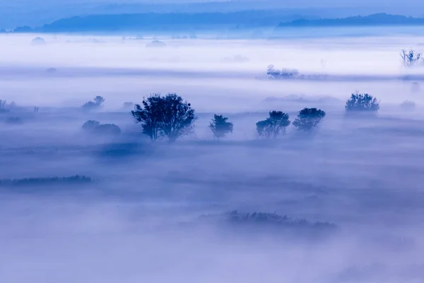 Morgens Nebliges Tal Bei Sonnenaufgang Blau Ruhige Herbstlandschaft Mit Einsamen — Stockfoto