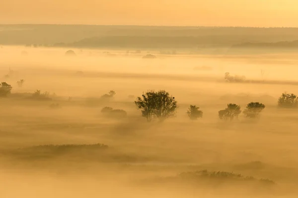 Ranní Mlhavé Údolí Při Východu Slunce Žlutá Klidná Podzimní Krajina — Stock fotografie