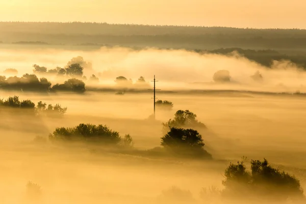 Утренняя Туманная Долина Рассвете Желтый Спокойный Осенний Пейзаж Полюсом Линии — стоковое фото